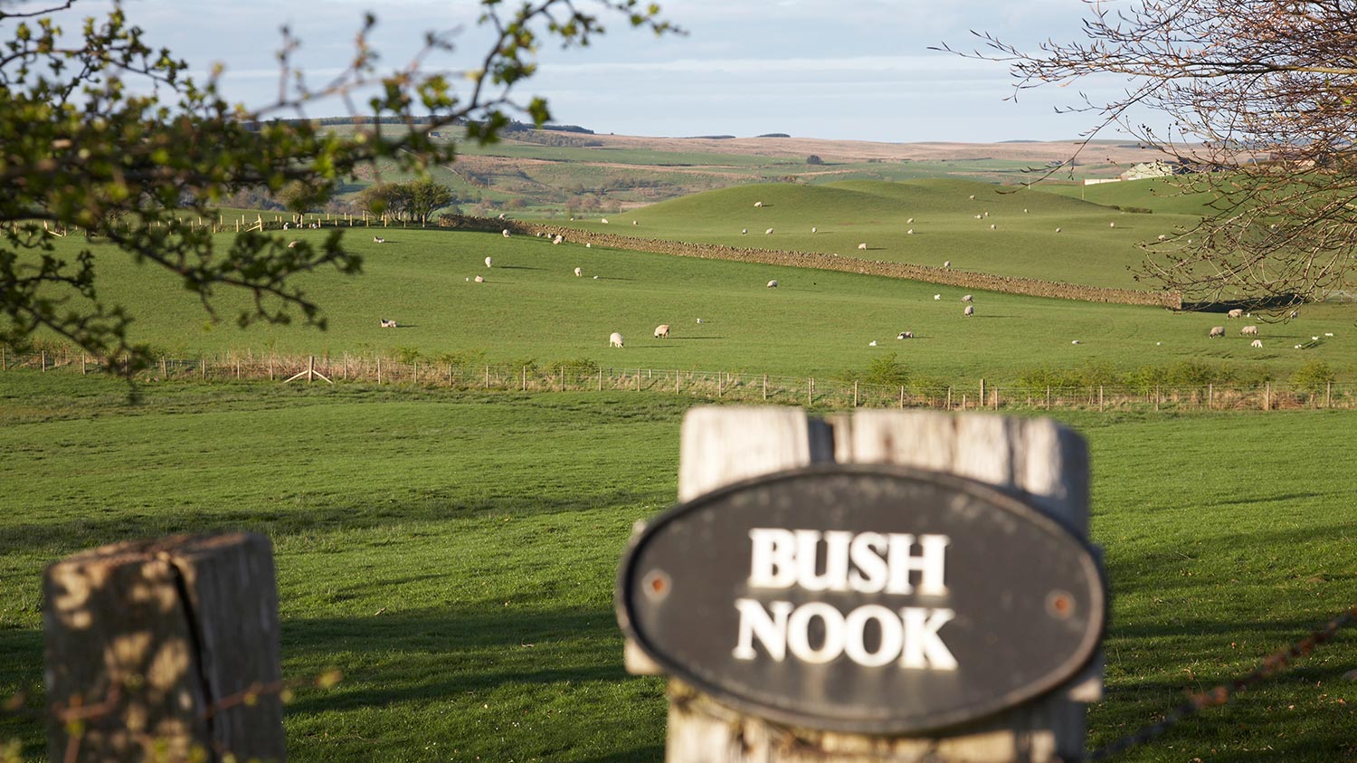 Bush Nook