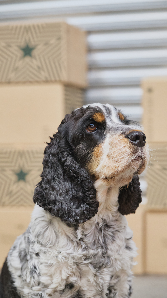 North Star Coffee Roasters